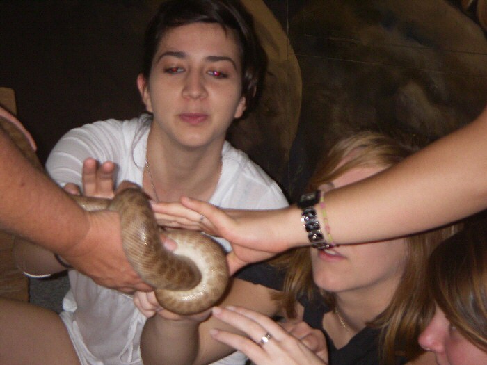 21
