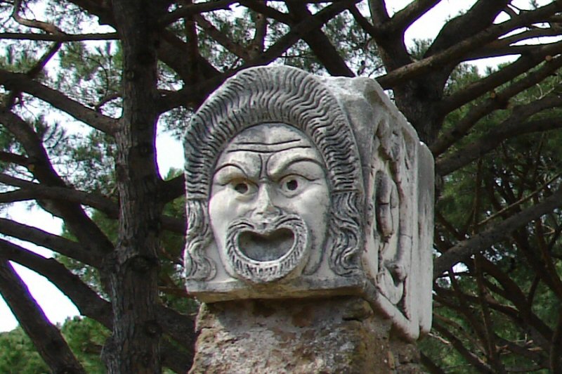 31